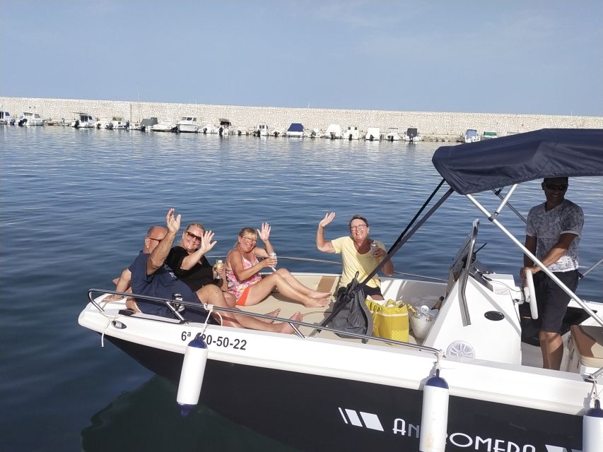 Fuengirola: Dolphin Watching Tour with Snacks and Drinks - Dolphin watching off Fuengirola: how the search works (and why the afternoon matters)