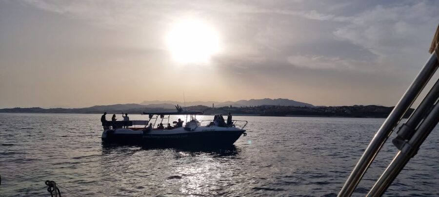 Fuengirola: Fantastic Dolphin Watching Yacht Tour with Drink - Cruising out of Puerto de Fuengirola: your smooth start