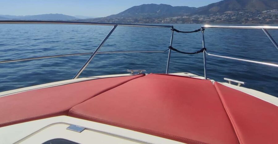 Fuengirola: Fantastic Dolphin Watching Yacht Tour with Drink - The skipper-led dolphin search: where the real excitement happens