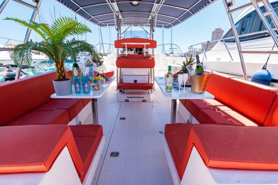 Fuengirola: Fantastic Dolphin Watching Yacht Tour with Drink - What the ride feels like on the water