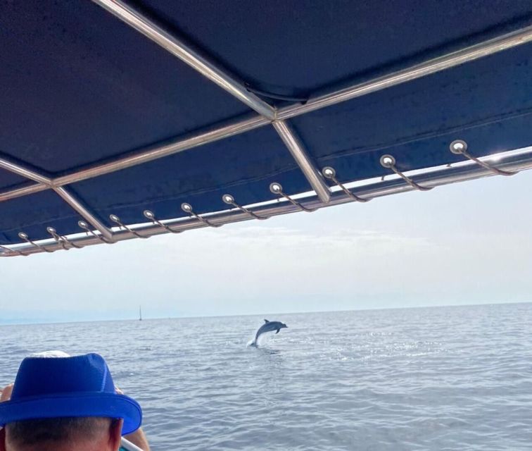 Fuengirola: Fantastic Dolphin Watching Yacht Tour with Drink - Timing, duration, and why 2 hours works