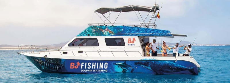 Fuerteventura: Dolphin watching and Lobo Island Combo Cruise - Quick key points (what you’ll care about most)