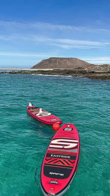 Fuerteventura: Dolphin watching and Lobo Island Combo Cruise - The La Concha/Lobos swim stop: your best chance to feel the day