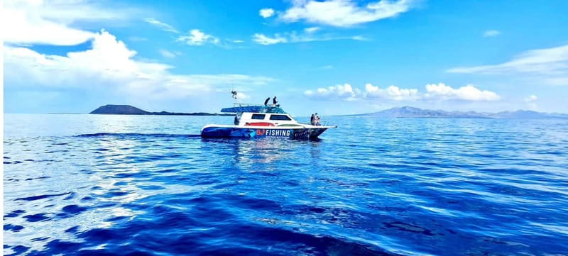 Fuerteventura: Dolphin watching and Lobo Island Combo Cruise - Tips to make your day smoother (small moves, big payoff)