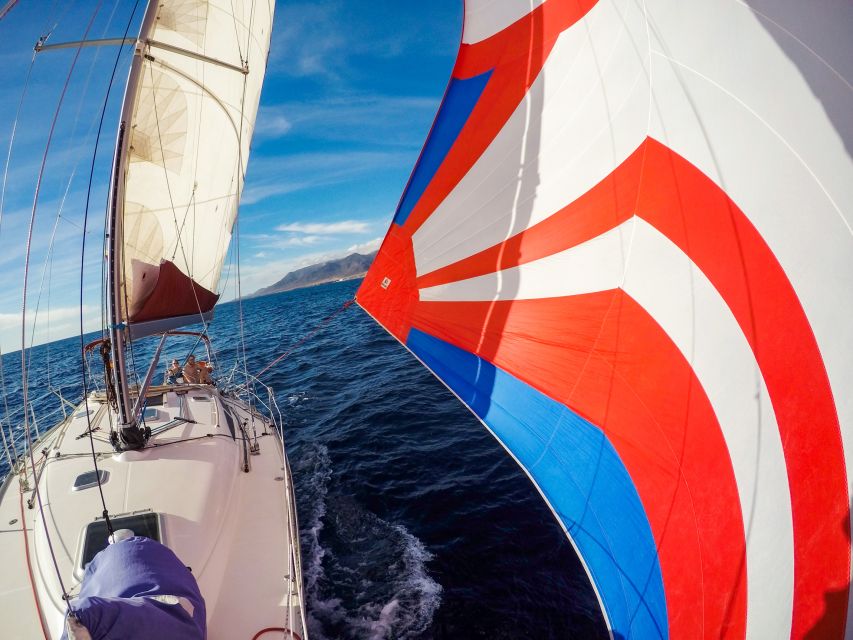 Fuerteventura: Sailing with Snorkeling and Dolphin Watching - The anchor stop at about two hours: snorkeling and swimming reality check