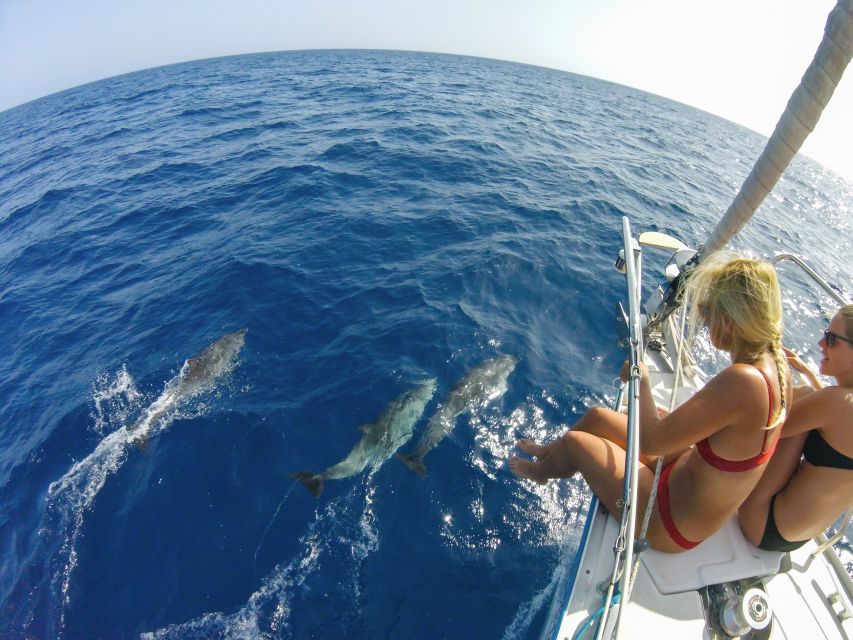 Fuerteventura: Sailing with Snorkeling and Dolphin Watching - Food, drinks, and wind jackets: comfort that makes the trip feel grown-up