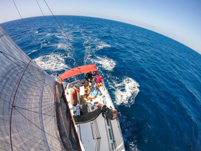 Fuerteventura: Sailing with Snorkeling and Dolphin Watching - Manta rays at the harbor, then sailing out with sails up