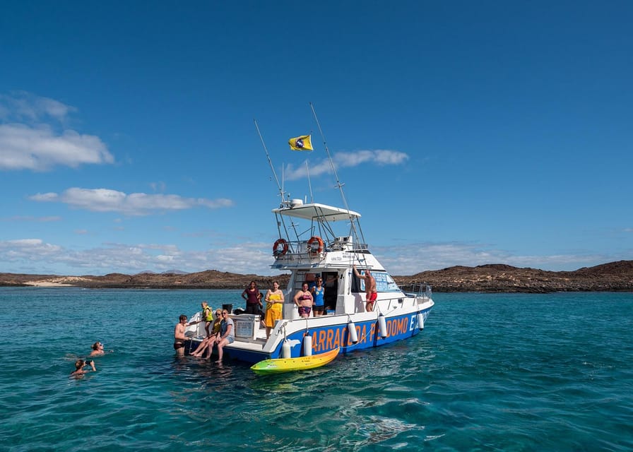 Fuerteventura: Whale & Dolphin Watching Boat Tour with Guide - Why this Fuerteventura-to-Lanzarote cruise works for whales and dolphins