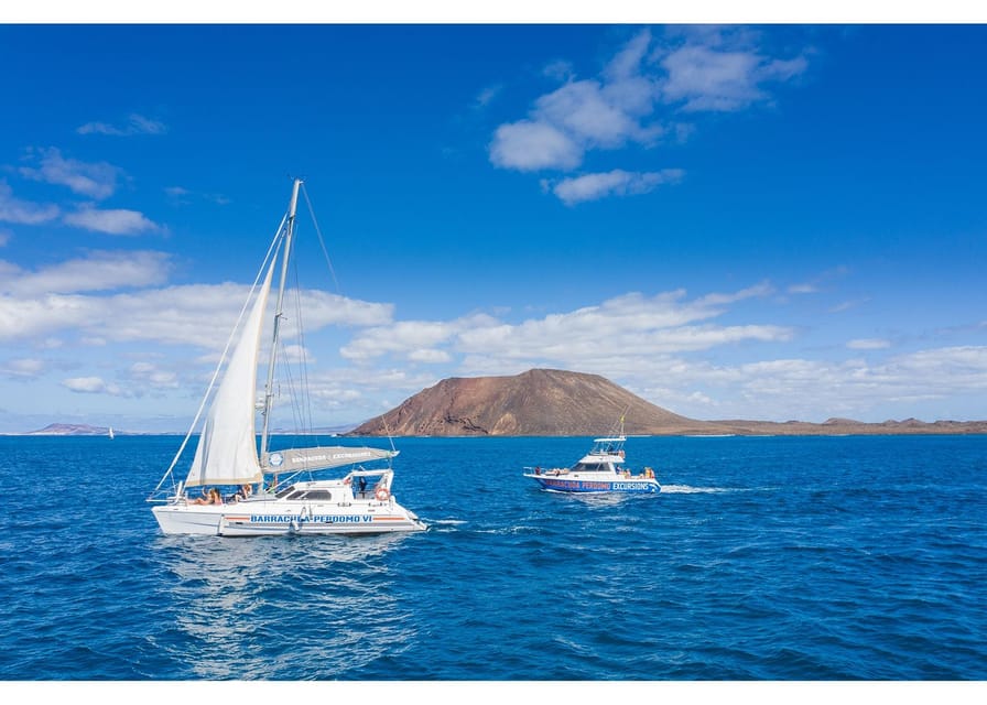 Fuerteventura: Whale & Dolphin Watching Boat Tour with Guide - The 5-hour flow: how the search usually unfolds