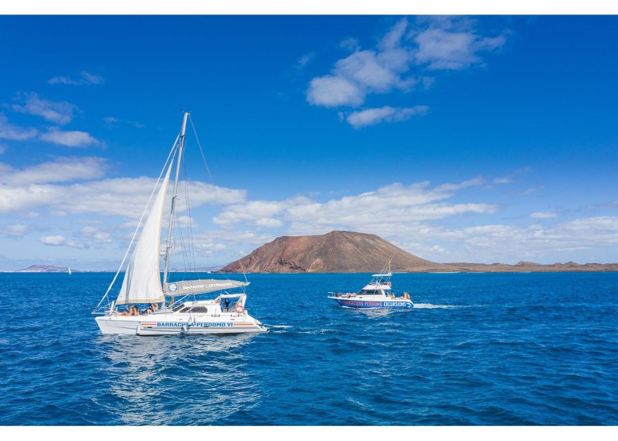 Fuerteventura: Whale & Dolphin Watching Boat Tour with Guide - Isla de Lobos and La Concha Beach: the water-time payoff