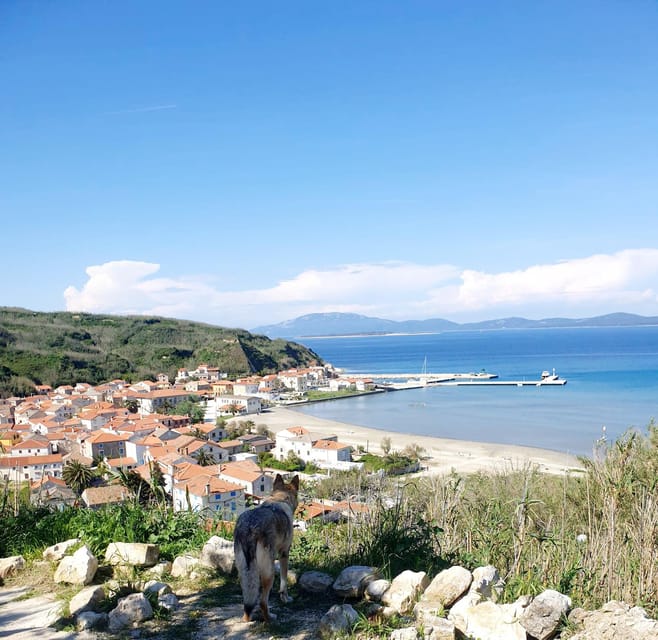 Full day boat-trip Medulin, blue Cave, Cres + dolphin search - Practical value: is an $88 boat day a good deal?