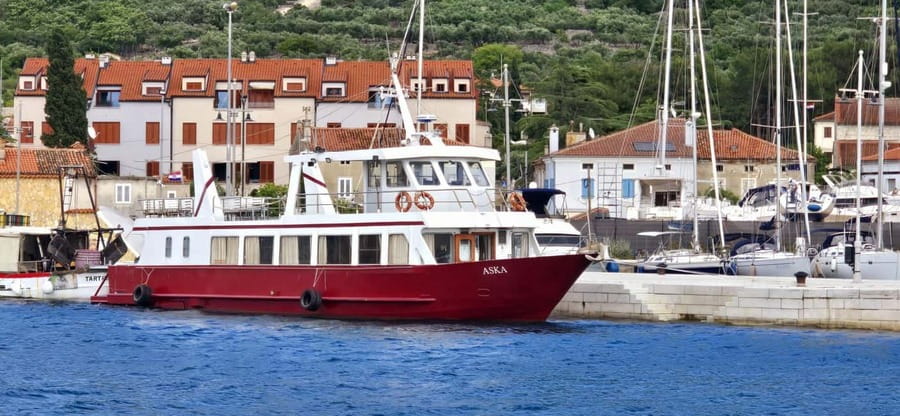Full day boat-trip Medulin, blue Cave, Cres + dolphin search - Dolphin search on the return: fun, but not a promise