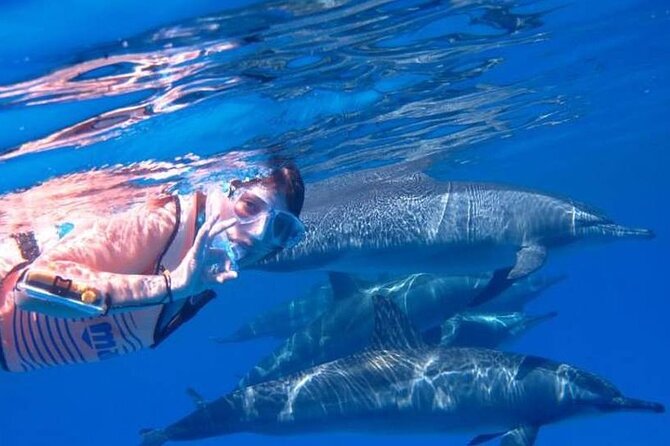 Full-day Dolphin House And Swim With Dolphin - Snorkeling Stop 1: Red Sea and Sinai Waters for 45 Minutes