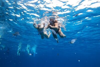 Full-day Dolphin House And Swim With Dolphin - Lunch on the Boat: Kofta, Fish, Pasta, Rice, Salads, and Fruit