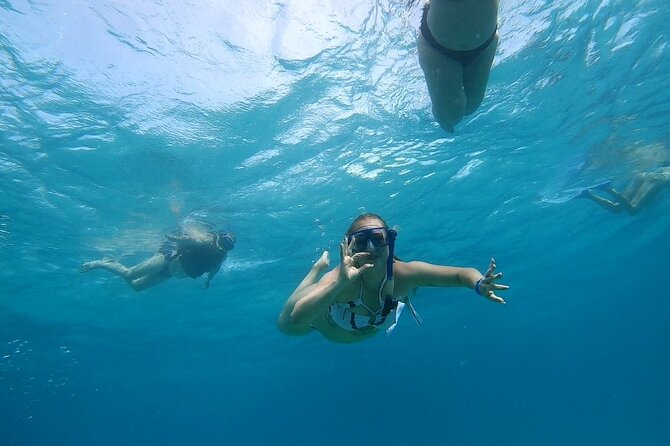 Full-day Dolphin House And Swim With Dolphin - Snorkeling Stop 2: Another 45 Minutes When the Sea Changes