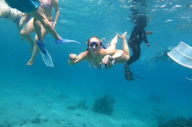Full-day Dolphin House And Swim With Dolphin - Price and What You’ll Pay Extra (Still usually good value)
