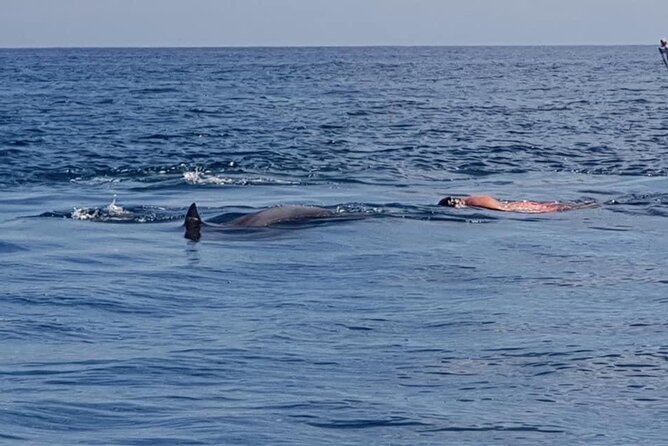 Full-Day Dolphin Watching Cruise in Mauritius - Who should book this Mauritius dolphin cruise