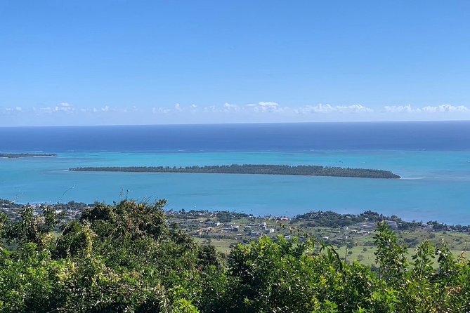Full-Day Dolphin Watching Cruise in Mauritius - Tamarin Bay dolphin encounter: what the swim is really like