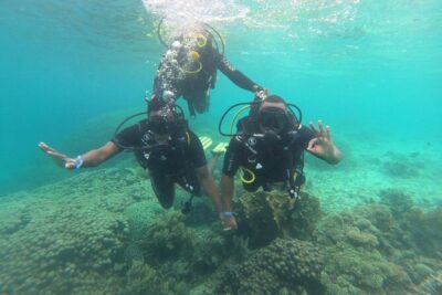 Full Day Dolphin Watching with Snorkeling in Wasini - Wasini Island village visit: learning from families who live there