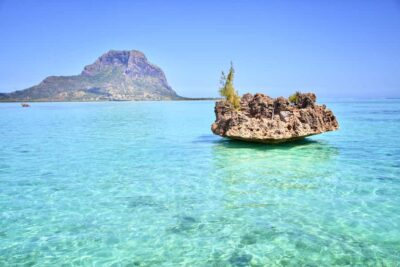 Full Day Dolphins Watching Ile aux Benitiers & Crystal Rock - Speedboat Day on Mauritius West Coast: Great Views, Quick Motion