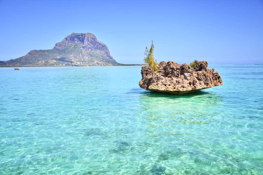 Full Day Dolphins Watching Ile aux Benitiers & Crystal Rock - Speedboat Day on Mauritius West Coast: Great Views, Quick Motion