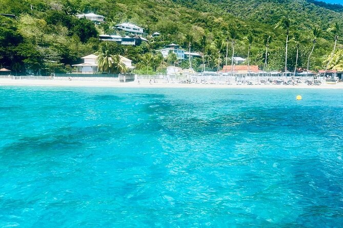 Full day EN Catamaran Martinique Dolphins and Turtles - The Scenic Afternoon: Anse Noir’s Black Sand and the Bat Cave Stop