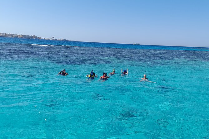 Full-Day Experience with Dolphins and Snorkeling in Red Sea - Logistics that can make or break the experience