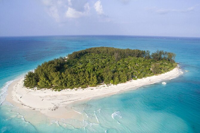 Full - Day Private Zanzibar Tour with dolphins & Sunset Beach - Key Highlights You’ll Care About
