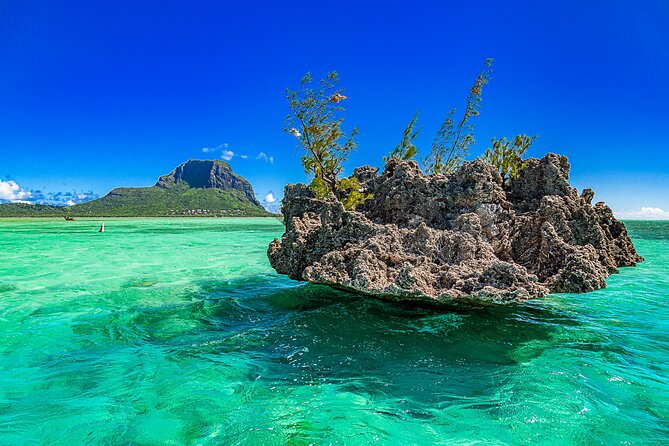 Full day Shared Speedboat Tour - South West Lagoon Dolphin Swim - Who this tour is best for (and who should think twice)