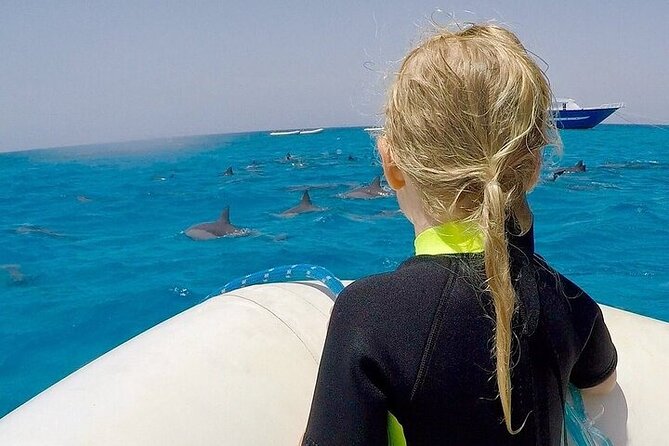 Full Day Snorkeling in Hurghada Dolphin House - Dolphin House swim: The hour that people remember