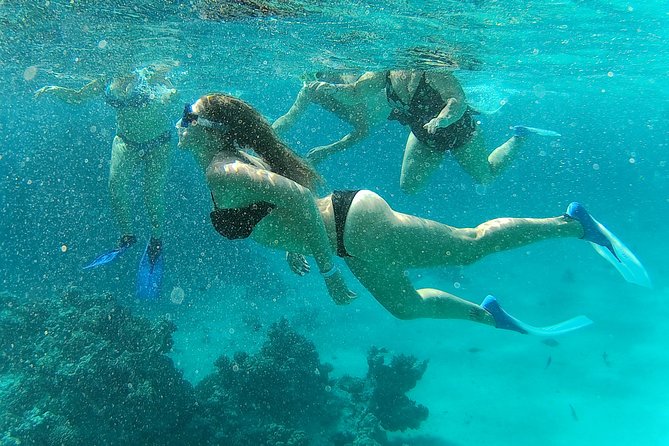 Full-Day Snorkeling with Dolphins in Hurghada with Lunch - From pickup to pier: how the day is actually paced