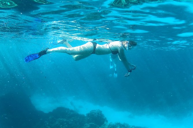 Full-Day Snorkeling with Dolphins in Hurghada with Lunch - Lunch onboard: what’s included and what to watch for