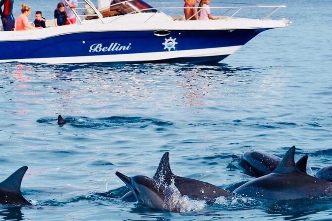 Fully Day Tour: Dolphin Encounters, Crystal Rock at Benitiers Island - Why this Mauritius water day works from Chamarel