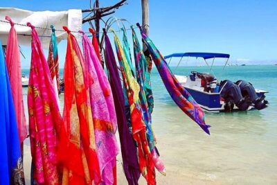 Fully Day Tour: Dolphin Encounters, Crystal Rock at Benitiers Island - Dolphin encounter time: the real value and the real limits