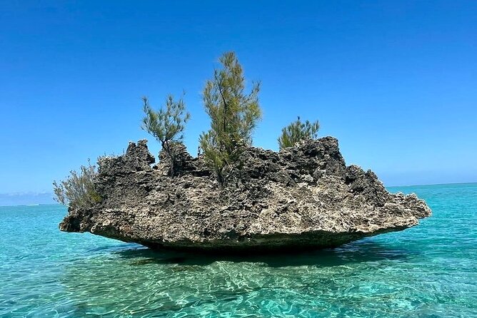 Fully Day Tour: Dolphin Encounters, Crystal Rock at Benitiers Island - Benitier Islet BBQ lunch: where the day slows down