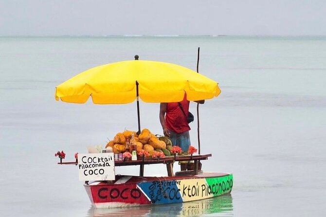 Fully Day Tour: Dolphin Encounters, Crystal Rock at Benitiers Island - What the snorkeling gear and beach-to-boat routine really means
