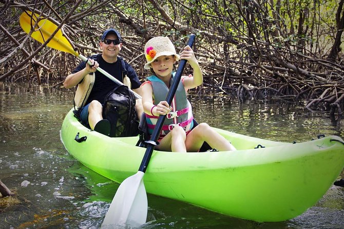 Fully Guided Kayaking Backwater Manatee and Dolphin Tour - A1A Outdoor Center: The Start That Keeps Your Paddle Comfortable