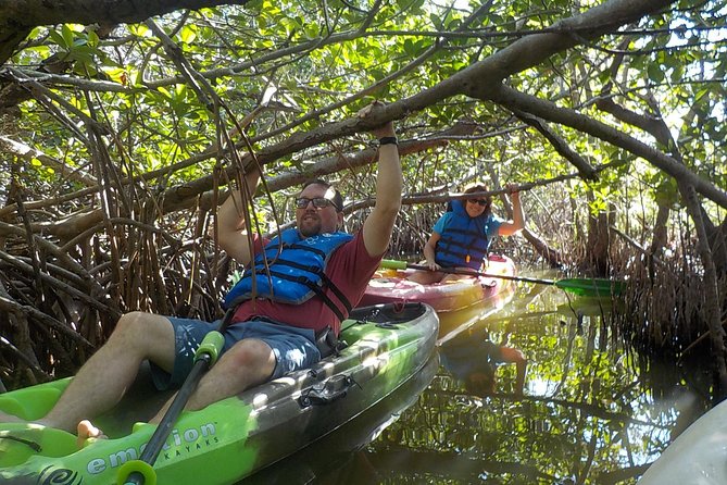 Fully Guided Kayaking Backwater Manatee and Dolphin Tour - Timing, Departures, and the Reality of Getting on the Water
