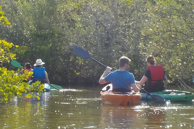 Fully Guided Kayaking Backwater Manatee and Dolphin Tour - Who Should Book This Manatee and Dolphin Kayak Tour?