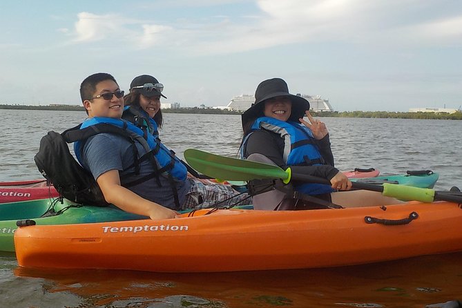 Fully Guided Kayaking Backwater Manatee and Dolphin Tour - Should You Book It? My Practical Recommendation
