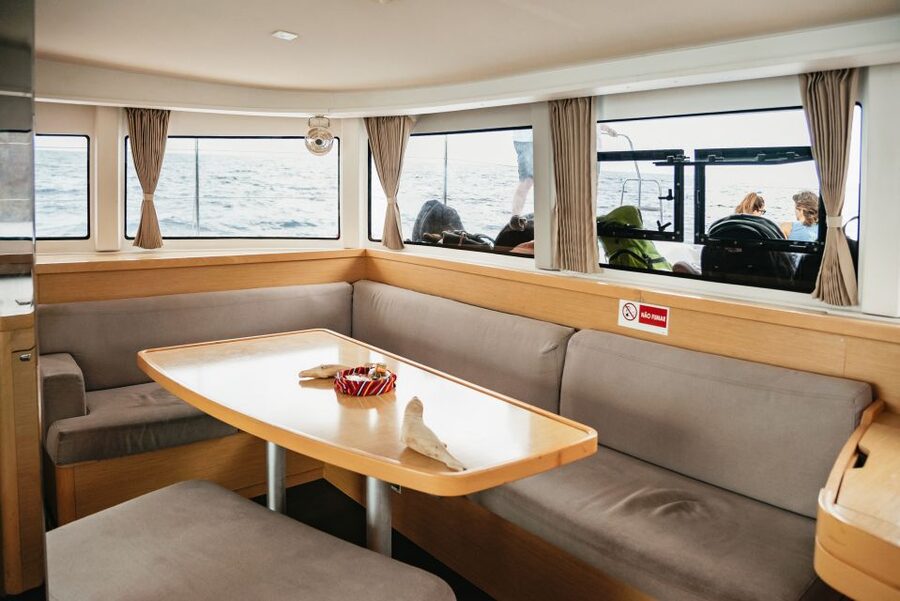Funchal Bay: Dolphin & Whale Watch Luxury Catamaran Cruise - Who should book this catamaran cruise?