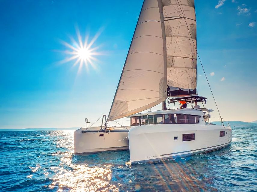 Funchal Bay: Dolphin & Whale Watch Luxury Catamaran Cruise - The dedicated wildlife spotting time: how the “secret stop” works
