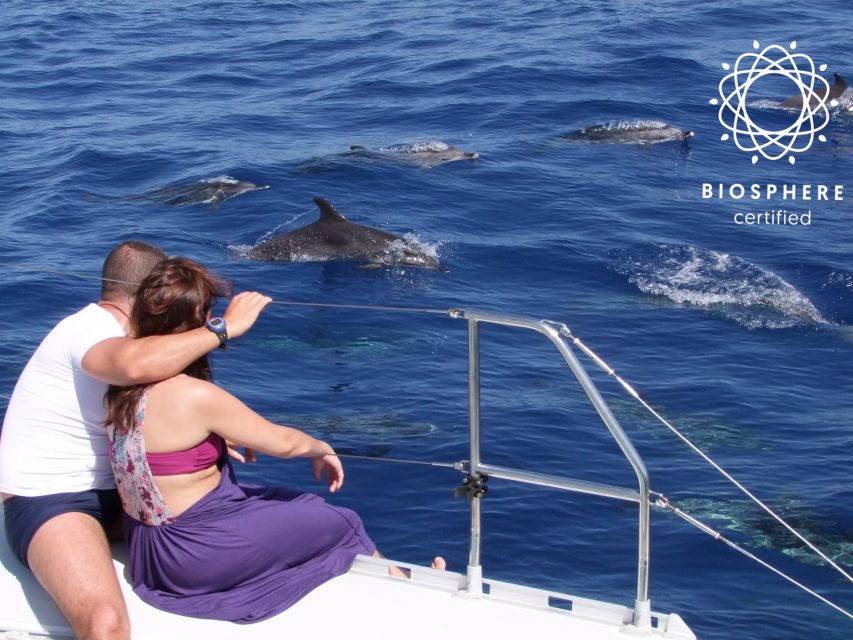 Funchal: Cabo Girão, Wines Tasting and Dolphins Watching - Why This Madeira Day Tour Works (Cliffs, Wine, and Sea Life in One Run)