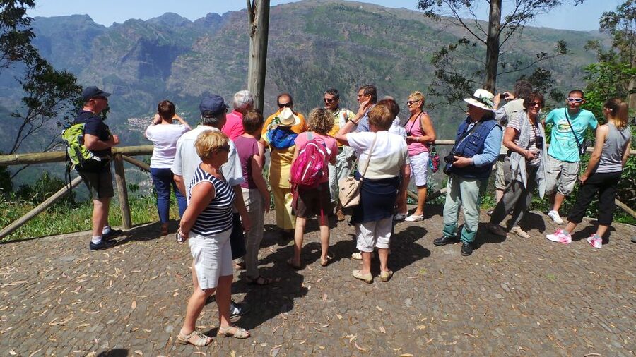 Funchal: Cabo Girão, Wines Tasting and Dolphins Watching - Who This Tour Fits Best (And Who Might Want Another Option)