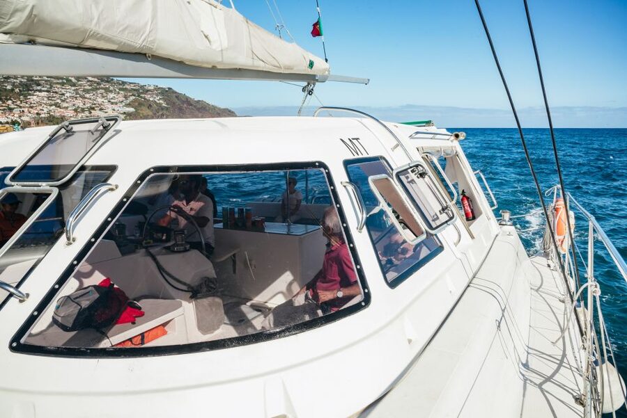 Funchal: Dolphin and Whale Watching by Luxury Catamaran - Key Highlights You’ll Care About