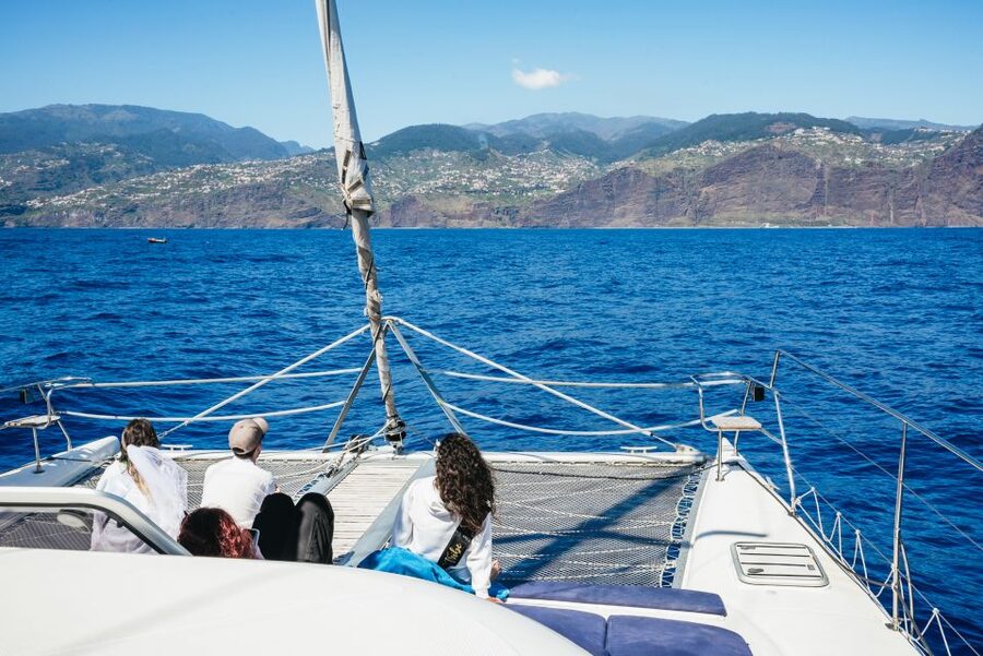 Funchal: Dolphin and Whale Watching by Luxury Catamaran - Should You Book Magic Dolphin in Funchal?
