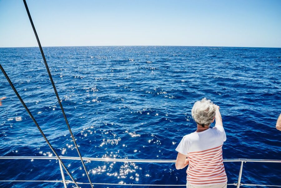 Funchal: Dolphin and Whale Watching by Luxury Catamaran - Finding Magic Dolphin at Pier 8 in Funchal