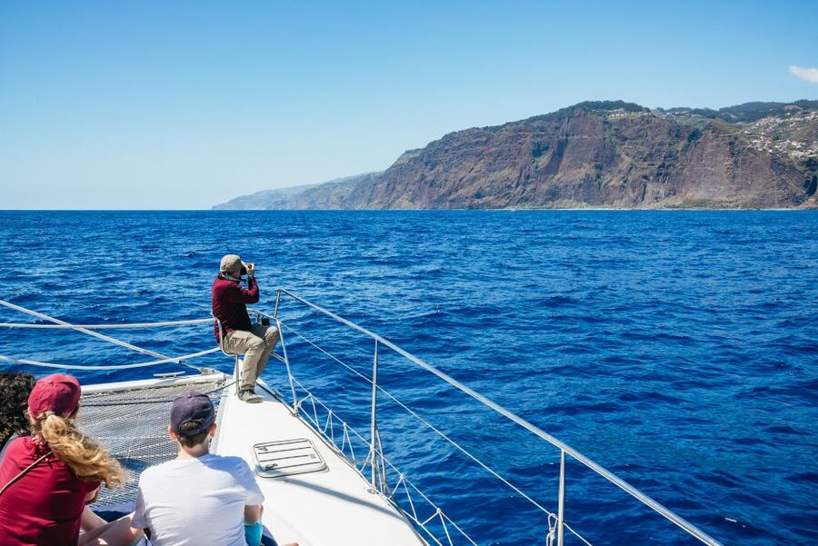 Funchal: Dolphin and Whale Watching by Luxury Catamaran - Price and Value: Why $47 Can Feel Like More Than You Paid