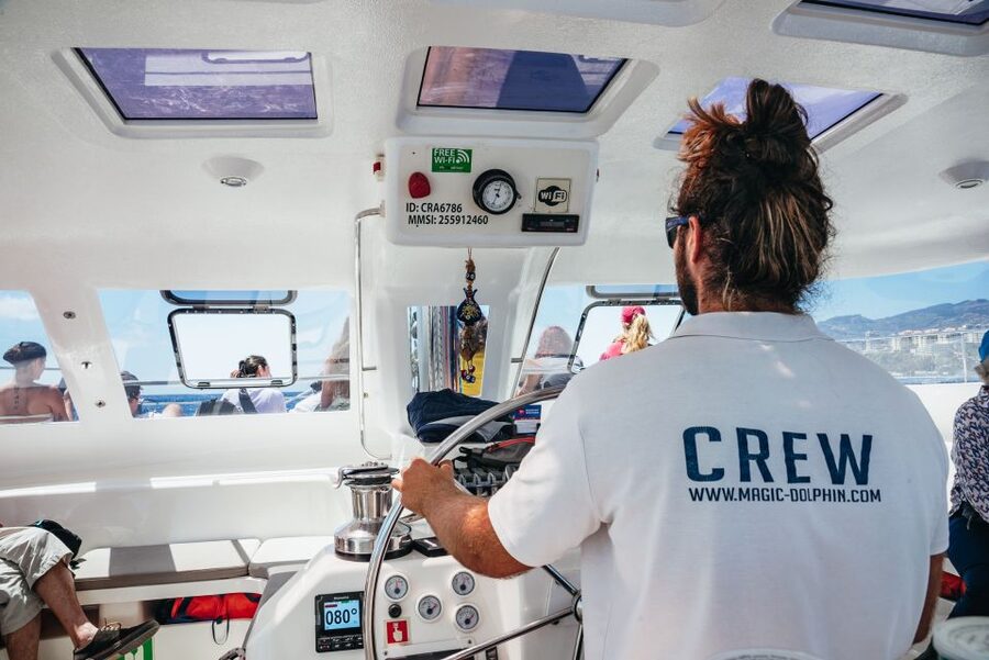 Funchal: Dolphin and Whale Watching by Luxury Catamaran - What to Bring (and What to Skip) for a Comfortable Day on the Water