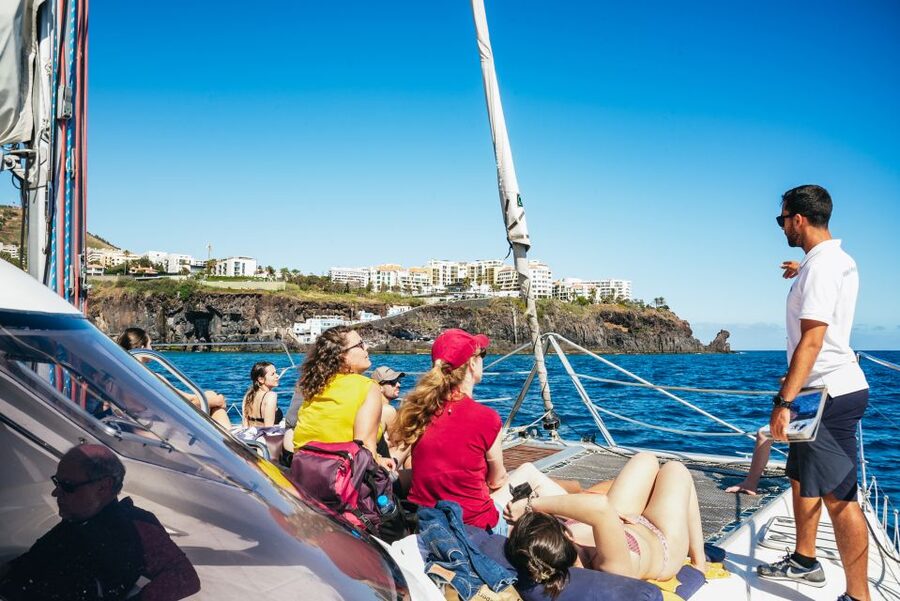 Funchal: Dolphin and Whale Watching by Luxury Catamaran - Who This Tour Suits Best in Madeira